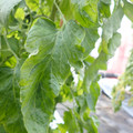 159901_20171215135457_01.JPG