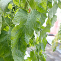 159901_20171215135457_02.JPG