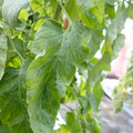 159901_20171215135457_03.JPG