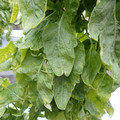 159901_20171215135506_02.JPG