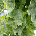 159901_20171215135506_03.JPG