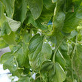 159901_20171215135618_01.JPG
