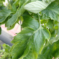 159901_20171215135629_01.JPG