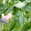 159901_20171215135630_01.JPG
