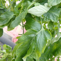 159901_20171215135630_02.JPG