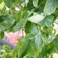 159901_20171215135631_02.JPG
