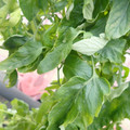 159901_20171215135631_05.JPG