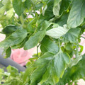 159901_20171215135632_01.JPG