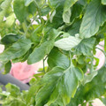 159901_20171215135632_02.JPG