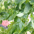 159901_20171215135632_05.JPG