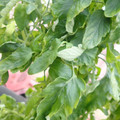 159901_20171215135633_01.JPG