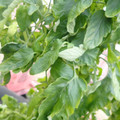 159901_20171215135633_02.JPG