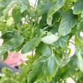 159901_20171215135633_03.JPG