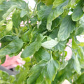 159901_20171215135634_01.JPG
