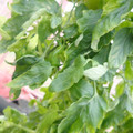 159901_20171215135635_01.JPG