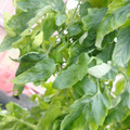 159901_20171215135635_02.JPG