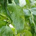 159901_20171215135639_02.JPG
