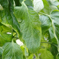 159901_20171215135640_01.JPG