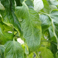 159901_20171215135640_02.JPG