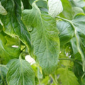 159901_20171215135640_03.JPG
