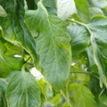 159901_20171215135640_04.JPG