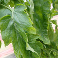 159901_20171215135643_01.JPG