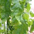 159901_20171215135651_01.JPG