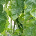 159901_20171215135652_04.JPG