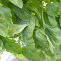 159901_20171215135722_04.JPG