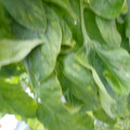 159901_20171215135723_03.JPG