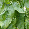 159901_20171215135740_01.JPG