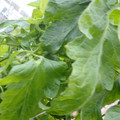159901_20171215135825_02.JPG