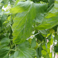 159901_20171215135827_01.JPG