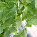 159901_20171215135835_01.JPG