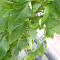 159901_20171215135835_02.JPG
