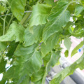 159901_20171215135837_02.JPG
