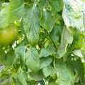 159901_20171215135911_01.JPG