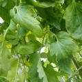 159901_20171215135914_05.JPG