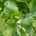 159901_20171215135915_01.JPG