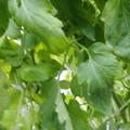 159901_20171215135915_02.JPG