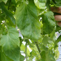159901_20171215135917_01.JPG
