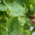 159901_20171215135917_05.JPG