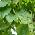 159901_20171215135918_03.JPG
