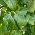 159901_20171215135920_01.JPG