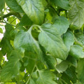 159901_20171215135920_02.JPG