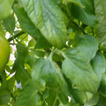159901_20171215135920_05.JPG