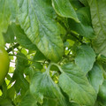 159901_20171215135921_01.JPG