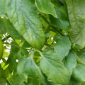 159901_20171215135921_02.JPG