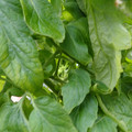 159901_20171215135921_04.JPG
