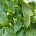 159901_20171215135921_05.JPG